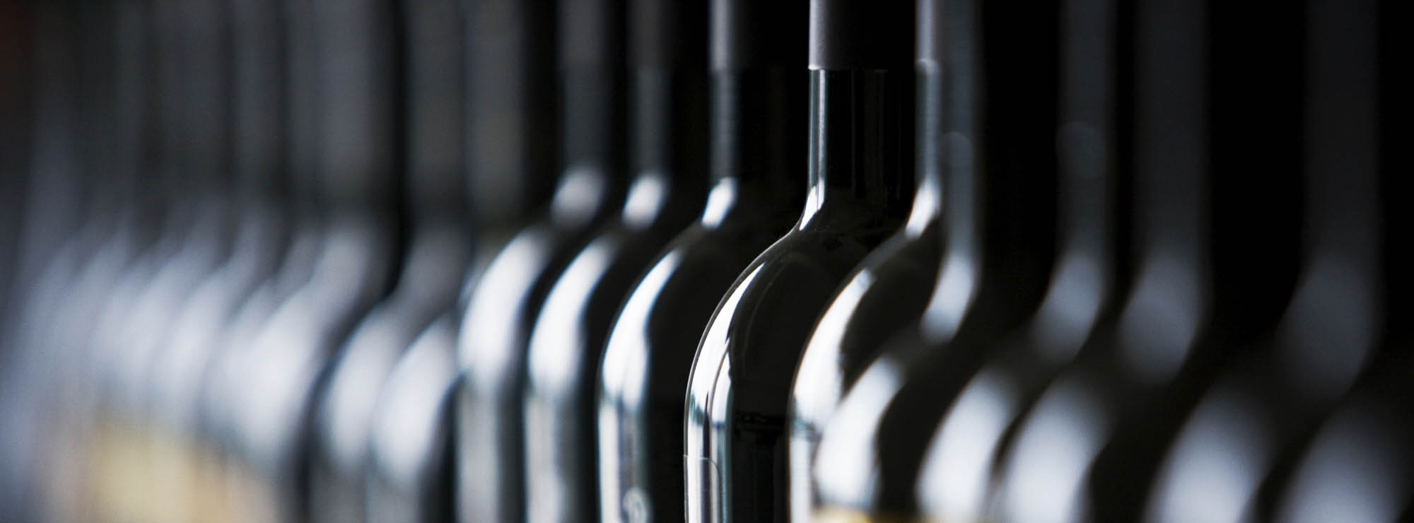 Rassegna stampa buy wine
