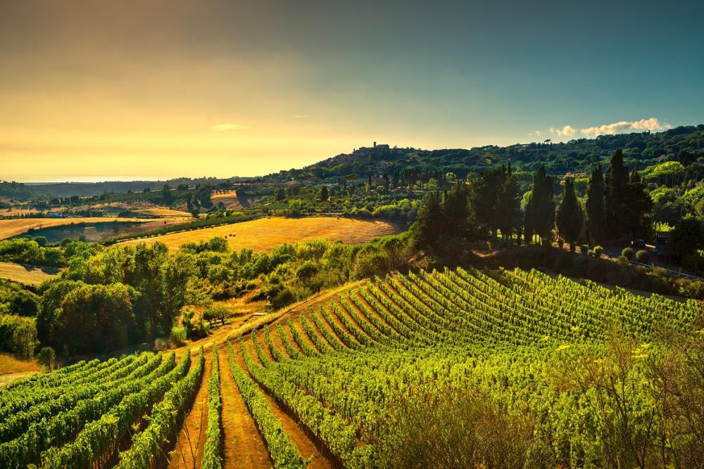 Consorzio Vini Terre di Pisa: dalle colline al mare, la Toscana che non ti aspetti