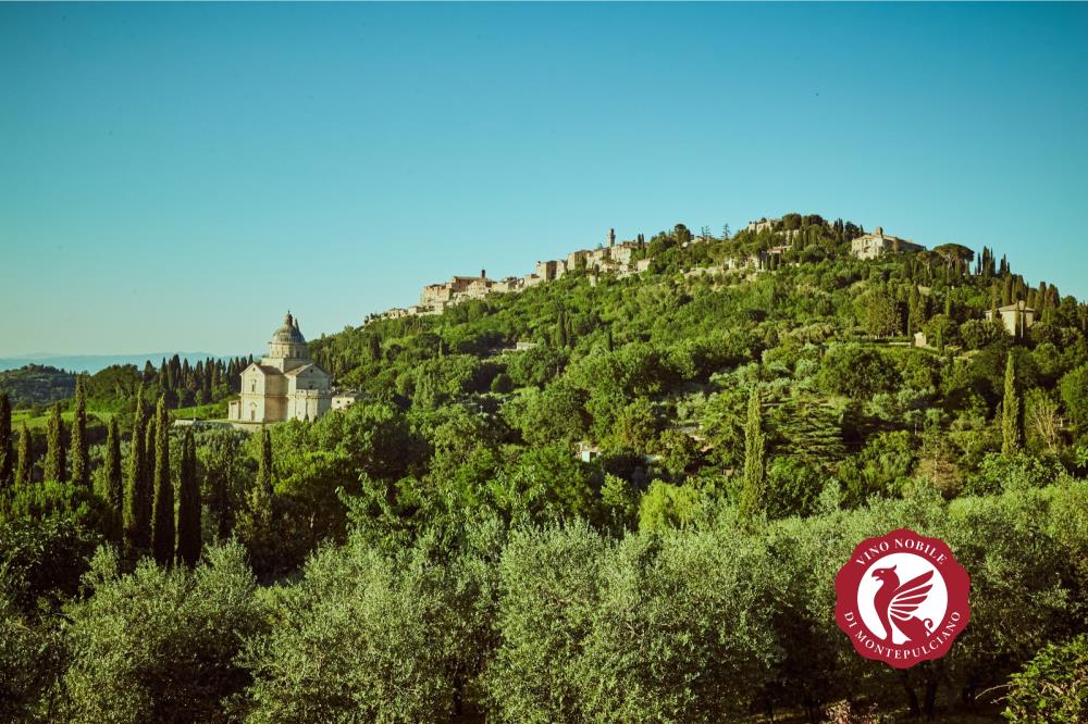 Vino e Montepulciano: in un'unica parola, il Nobile