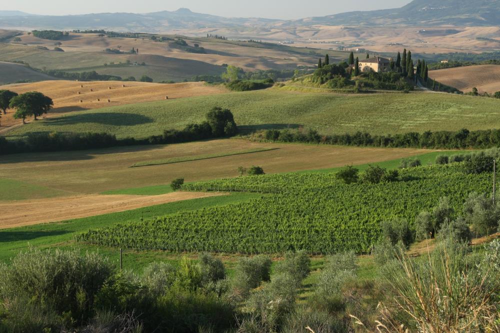 Italy, Tuscany, old canteen in Val d'Orcia area dedicated to wine  production Stock Photo - Alamy