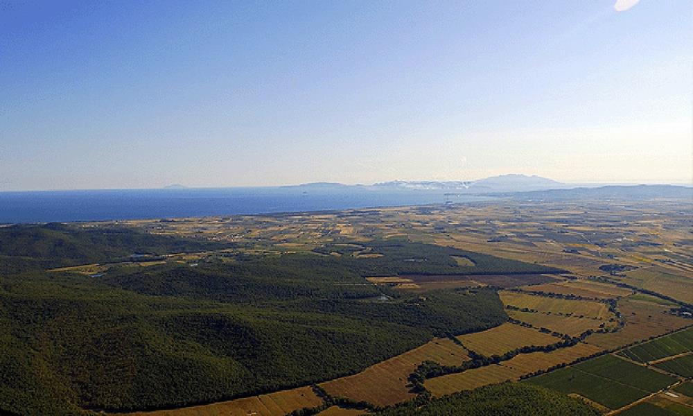 Val di Cornia, un vigneto con vista mare