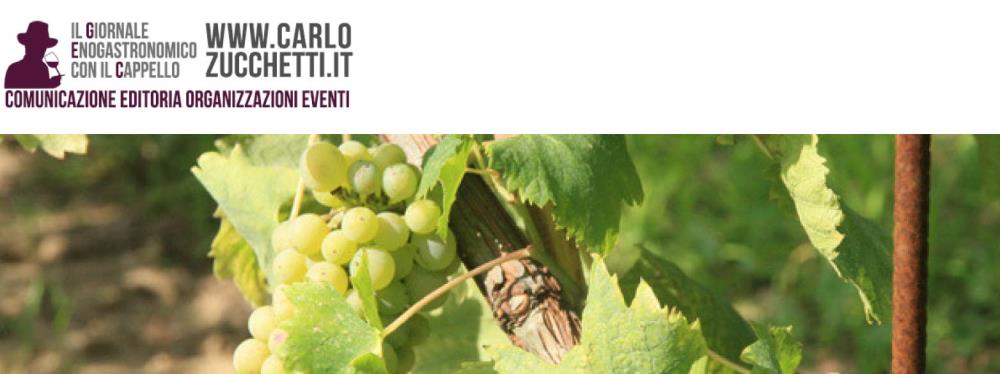 Buy Wine 2017
