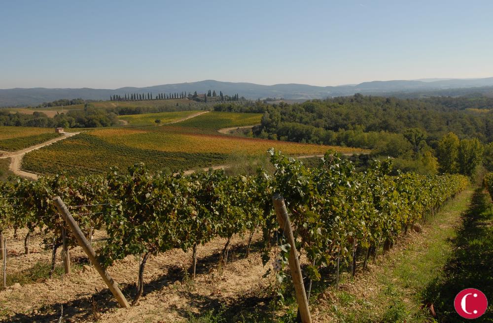 Chianti, an invention of Tuscan nature and culture