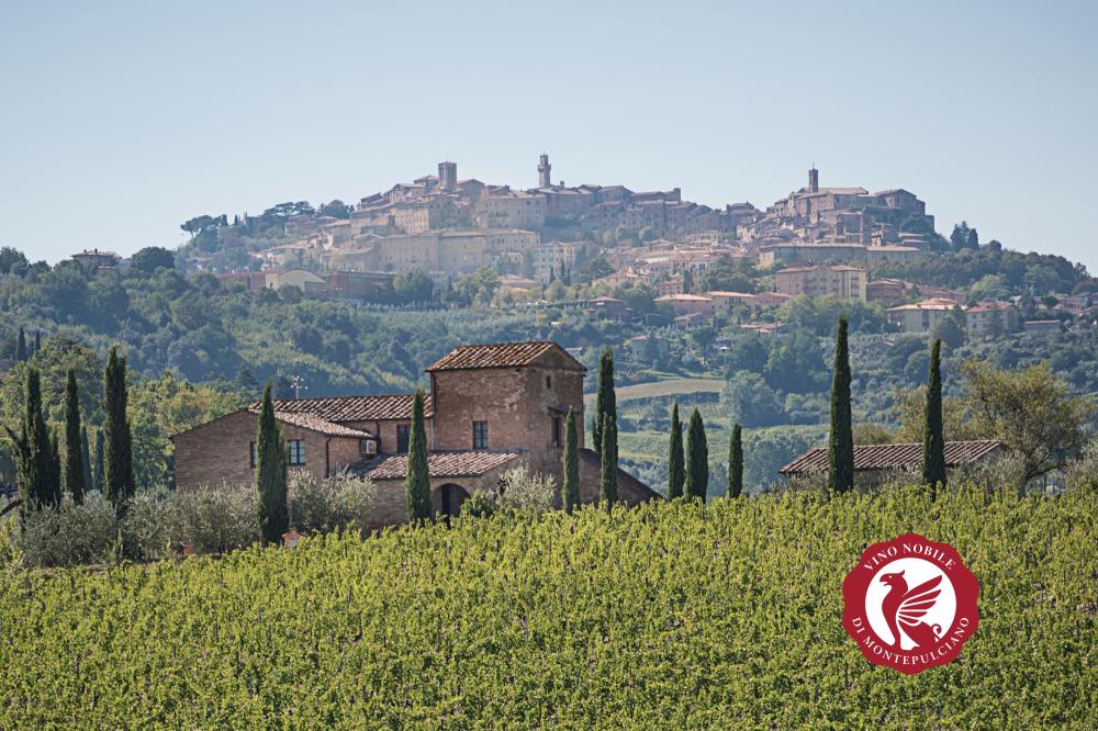 Vino e Montepulciano: in un'unica parola, il Nobile