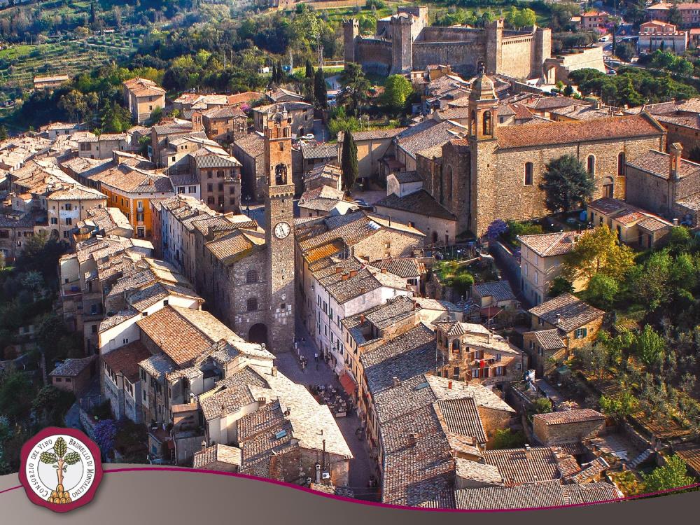 Montalcino, un territorio per il vino 