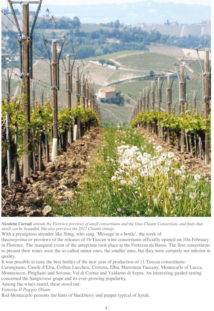 A Strong Tuscan Message In A Bottle From Small Consortiums