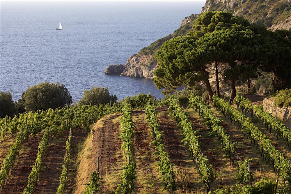 Per gli amanti del buono e del bello: la Maremma