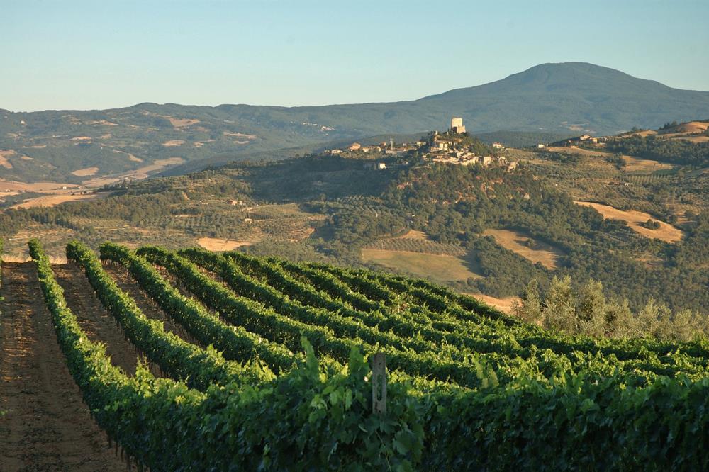 Orcia, il vino pi bello del mondo