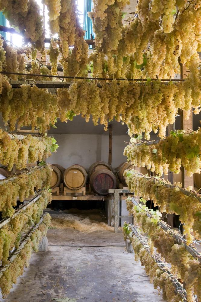 Carmignano: a 300 years history