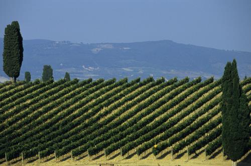 Montecucco, un territorio da scoprire